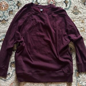 Aerie Sweatshirt
